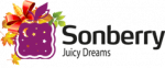 логотип партнера Sonberry